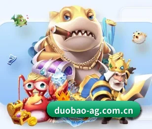 多宝体育 APP 深度功能